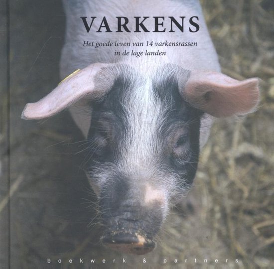De top van 6 beste boeken over het varken