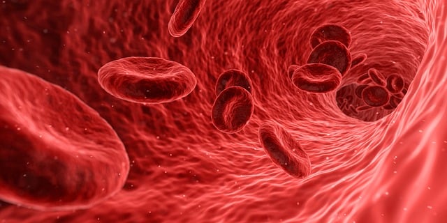 De top 5 van beste boeken over het bloed in ons lichaam (2023)